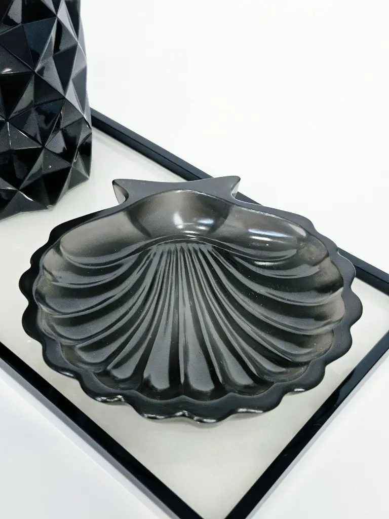 Concha color negro transulido.webp
